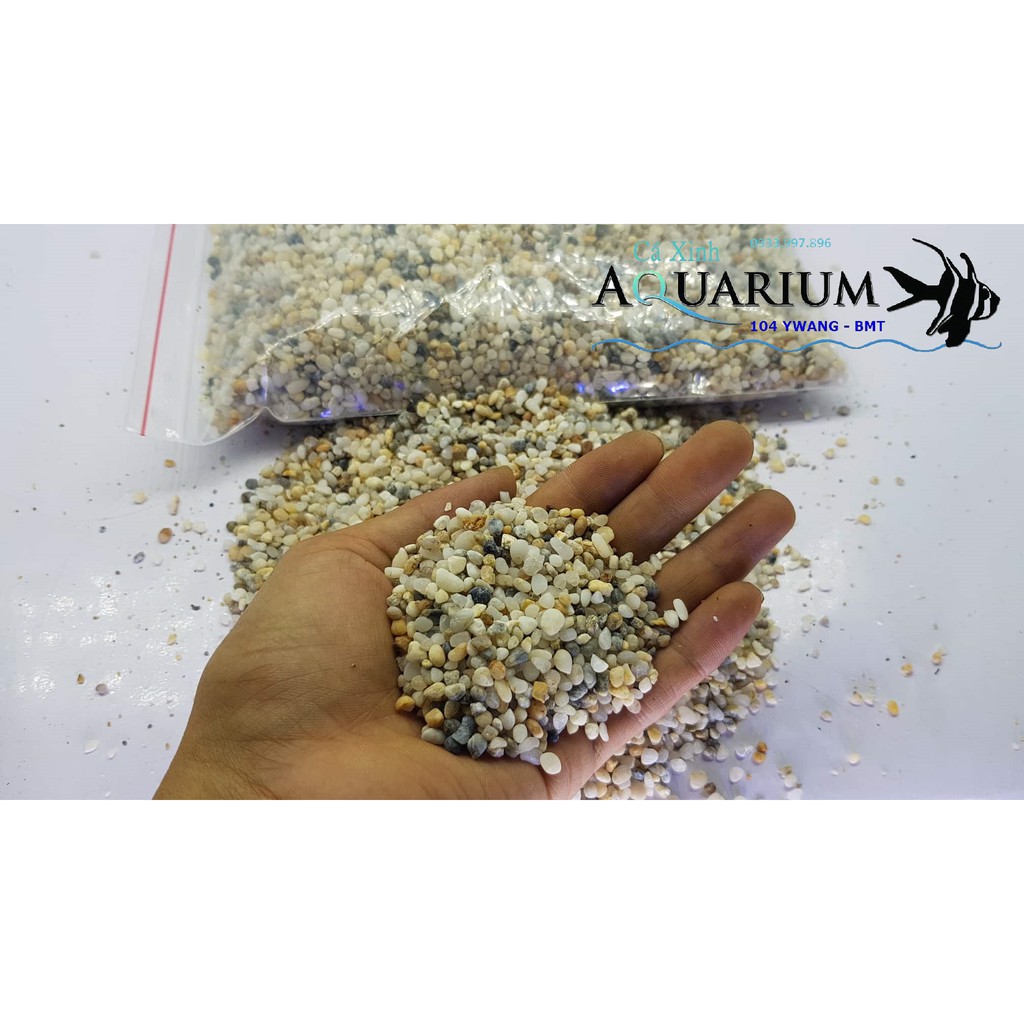 Chỉ 20k cho 1,5kg sỏi suối tự nhiên