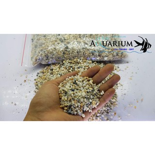 Chỉ 20k cho 1,5kg sỏi suối tự nhiên