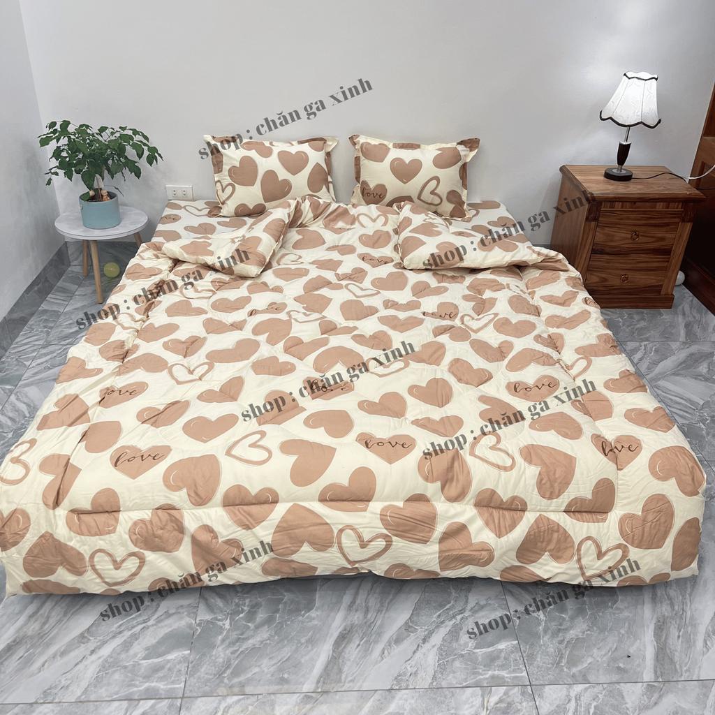 Bộ 5 món chăn phao ga gối poly cotton hàng loại 1 Chăn Bông Như Hình được chọn mẫu