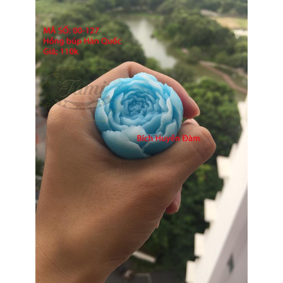 Khuôn silicon- Hồng Búp Hàn Quốc 127