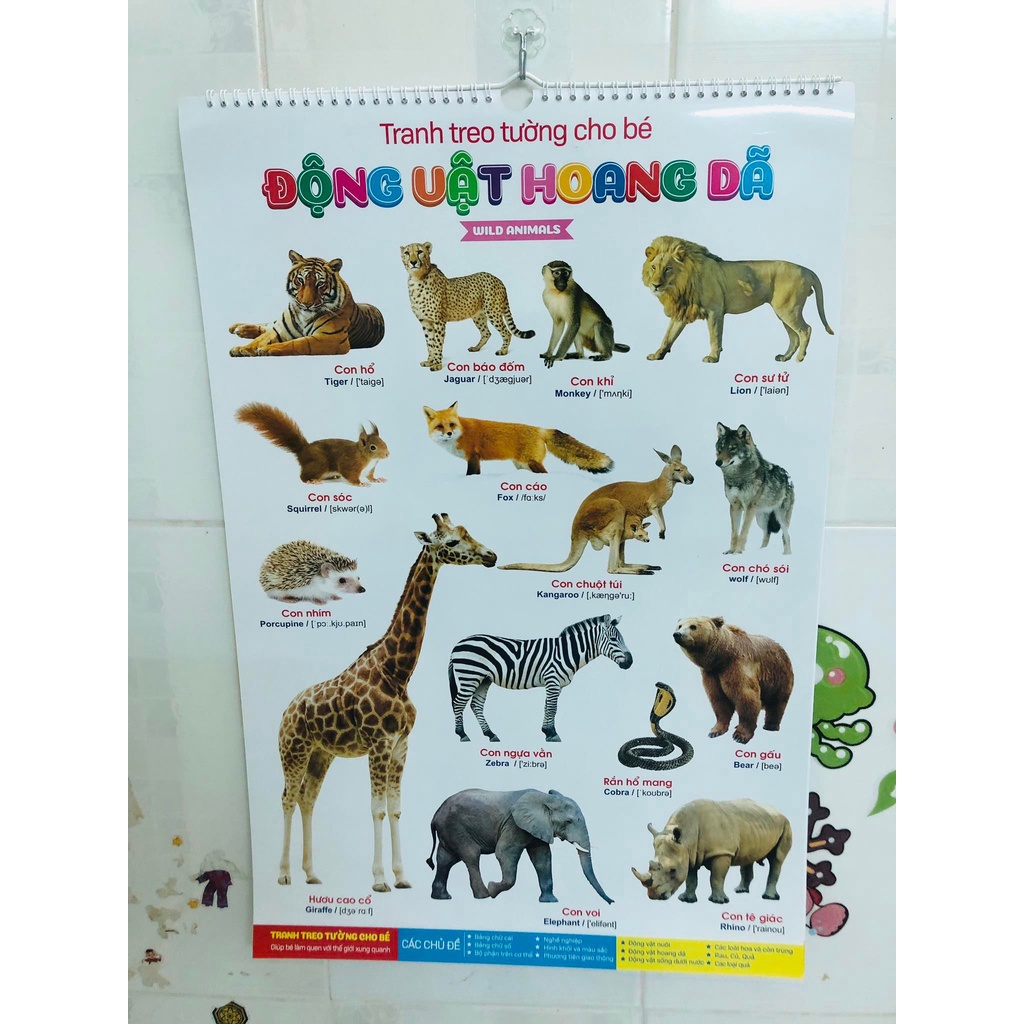 Tranh treo tường cho bé làm quen với động vật trái cây rau củ chữ cái và thế giới xung quanh