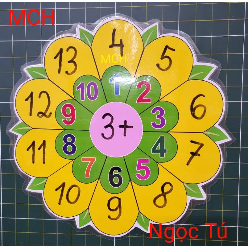 Bông hoa Toán học khổ A3