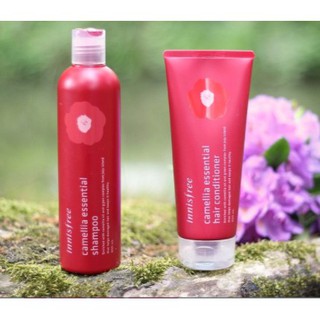 Dầu gội đầu xả Innisfree - Camellia Essential Shampoo and Treatment