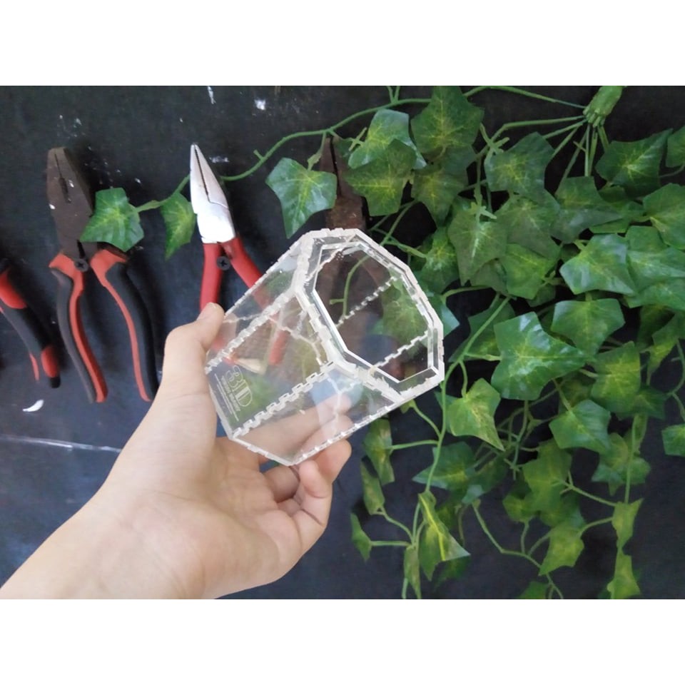 Hộp Nuôi Nhện Lục Giác 8-8-8 (tank tarantula)