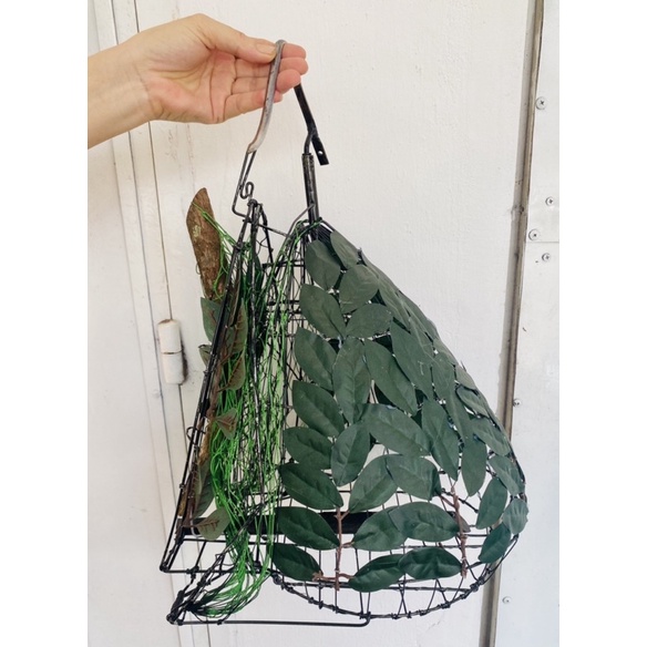 LỒNG, LỤP BẪY CHIM CU GÁY KẾT LÁ