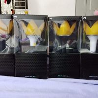Lightstick BIGBANG dành cho VIP