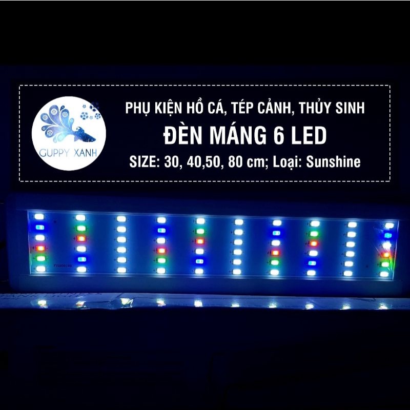 Led siêu sáng WRGB thế hệ mới 6 hàng bóng chuyên dụng cho bể cá cảnh thủy