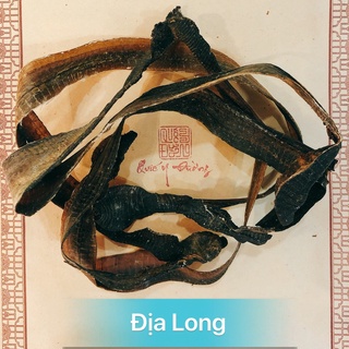  Địa Long  100gr