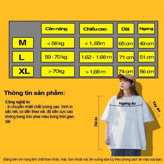 Áo thun form rộng TEE BASIC V9  UNISEX, vải thun cotton  ( V30 )