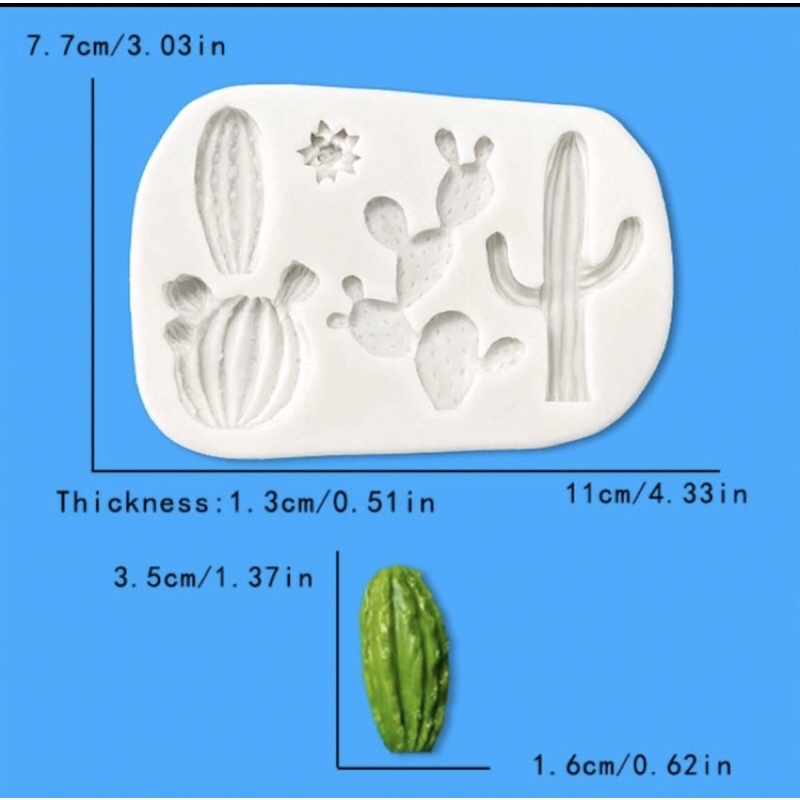 Silicon xương rồng