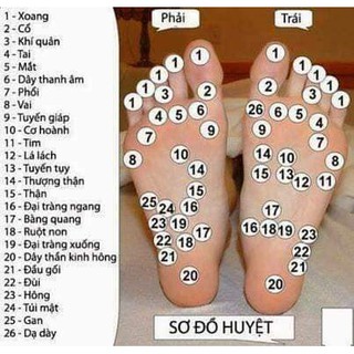 100 gói bột thuốc bắc ngâm chân
