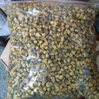 Trà Hoa Cúc Nụ Vàng Sấy khô siêu đẹp