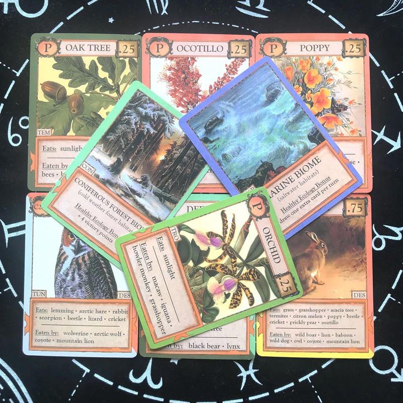 New Card Ecologies Paper Card Fate Divination Family Party Paper Cards Game