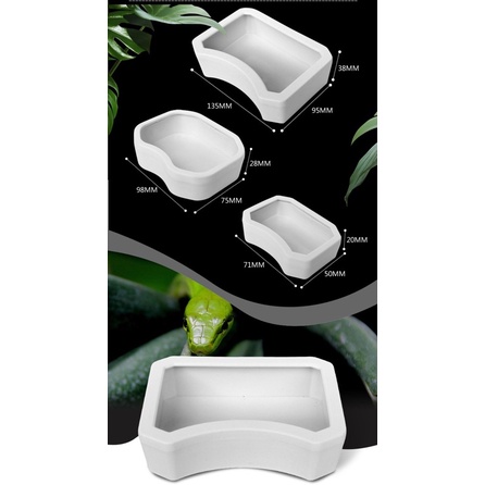 Bát ăn cho bò sát thú cưng - Bát đựng nước uống cho bò sát thú cưng