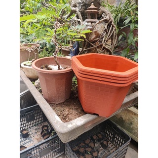 Chậu nhựa trồng cây fa450