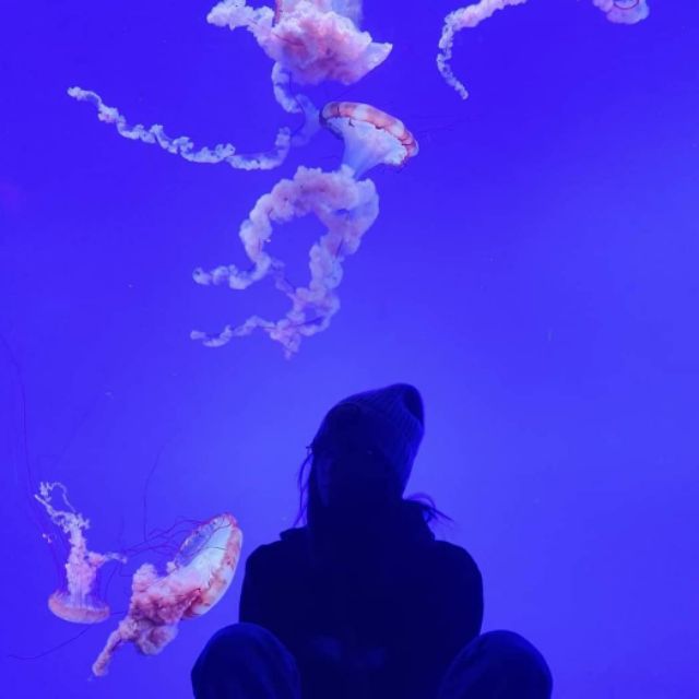 VU's 98WEAR, Cửa hàng trực tuyến | BigBuy360 - bigbuy360.vn