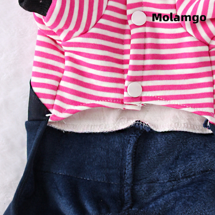 Áo kiểu MOLAMGO thiết kế gấu hoạt hình màu hồng/ xanh dương đáng yêu dành cho cún cưng