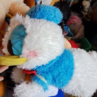 Gau bong của c Quê nhi