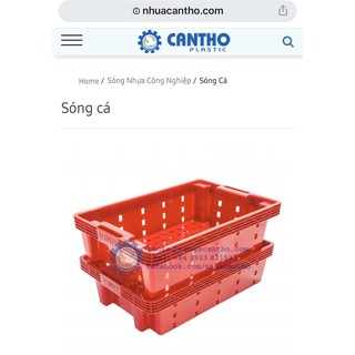 sóng cá- kết cá