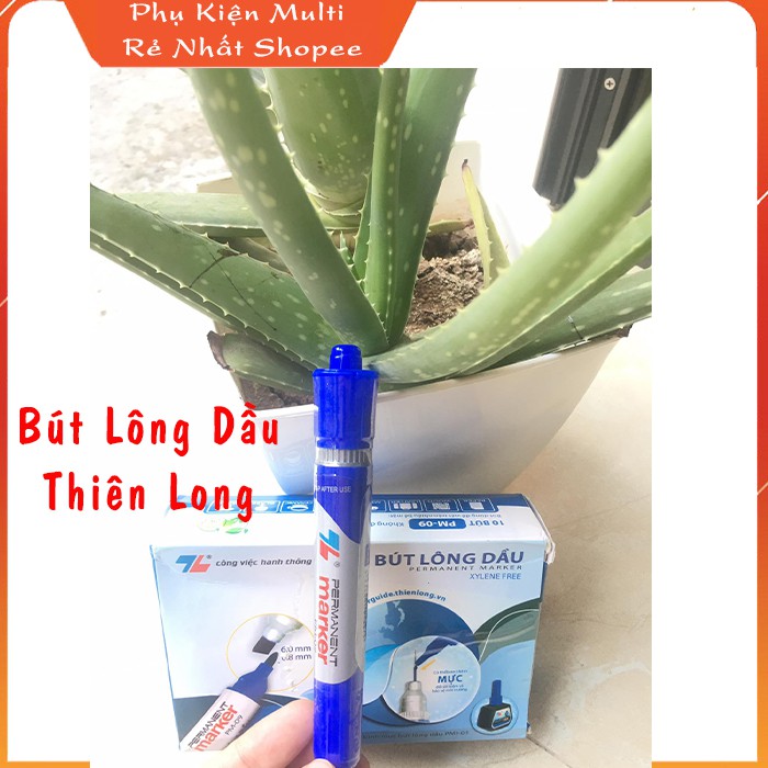 Bút lông dầu Thiên Long PM 09 An Toàn Không Độc Hại