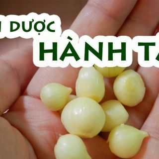 1kg hành tăm loại to