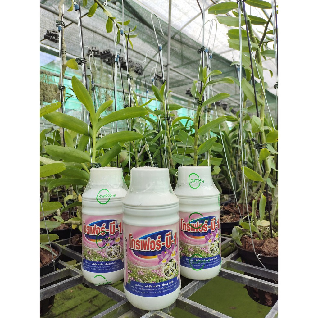 Phân Bón B1 Grofer Nhập Khẩu Thái Lan