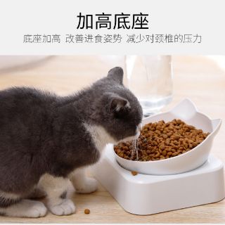 Bộ chén ăn bình nước tự động cho mèo