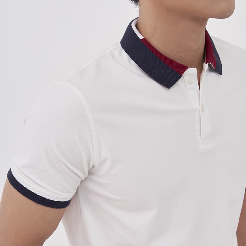 Áo Polo Nam Có Cổ, Kiểu Viền, Chất Cotton 100% - Sợi Đan 40 Cao Cấp, Áo Phông Nam Venisce | BigBuy360 - bigbuy360.vn