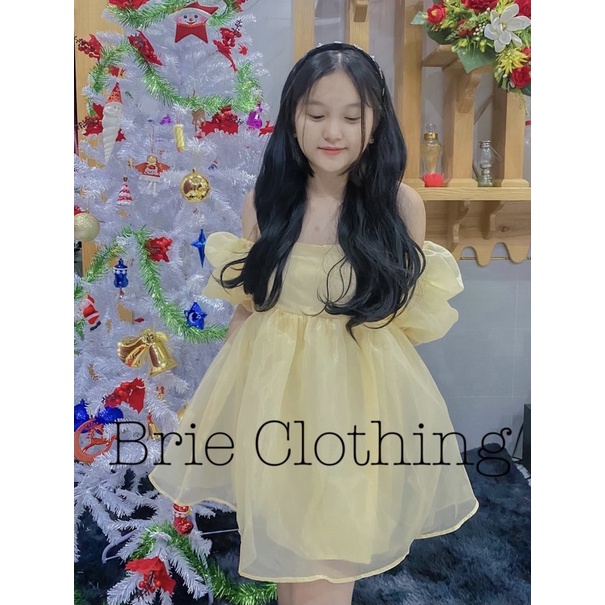 (Có ảnh thật)Đầm babydoll BRIE CLOTHING xoè kiểu dáng công chúa xinh xắn ulzzang - D225 | BigBuy360 - bigbuy360.vn