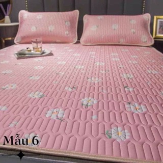 Chiếu điều hoà cao su non