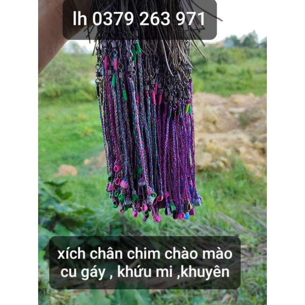 Xích chân chim chào mào, chòe than,lửa....