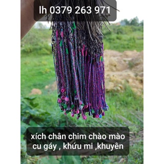 [ DÂY XÍCH] Xích chân chim chào mào, chòe than,lửa....