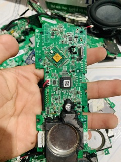 Mạch loa xác