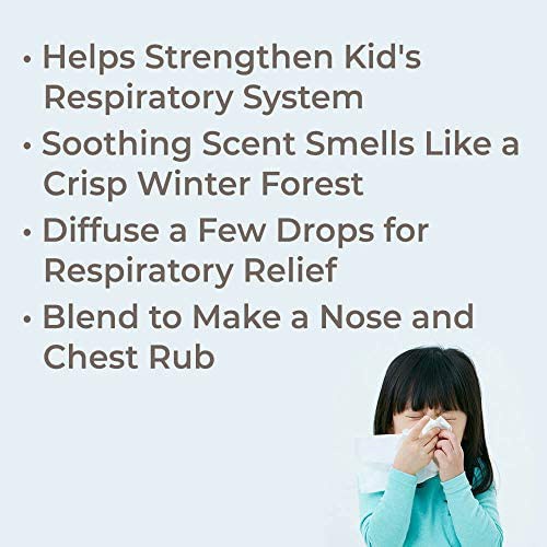 Plant Therapy - Tinh Dầu Giúp Trẻ Giảm Nghẹt Mũi, Sổ Mũi - Sniffle Stopper Synergy - Kidsafe