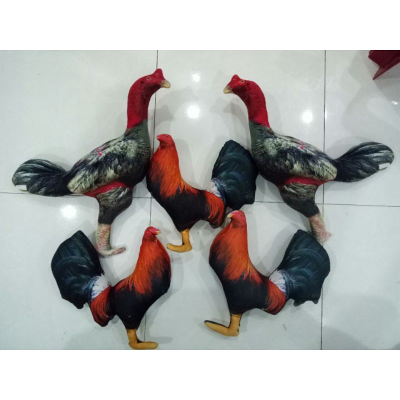 GÀ 3D TẬP ĐÁ - HÀNG LOẠI 1