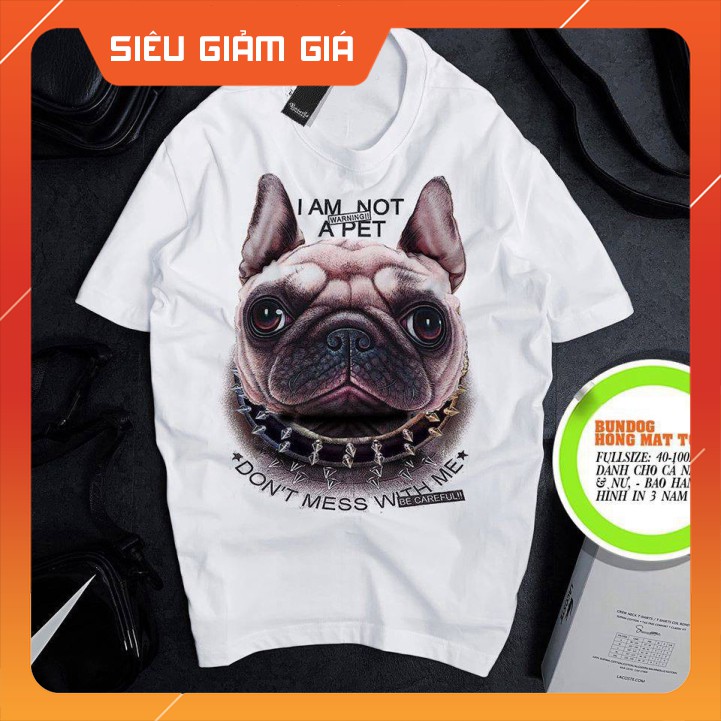 Áo thun big size nam nữ tphcm - áo phông nam cotton co dãn bốn chiều hàng nhà máy >3 >3