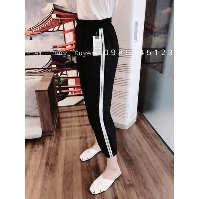 Quần jogger đũi phối sọc