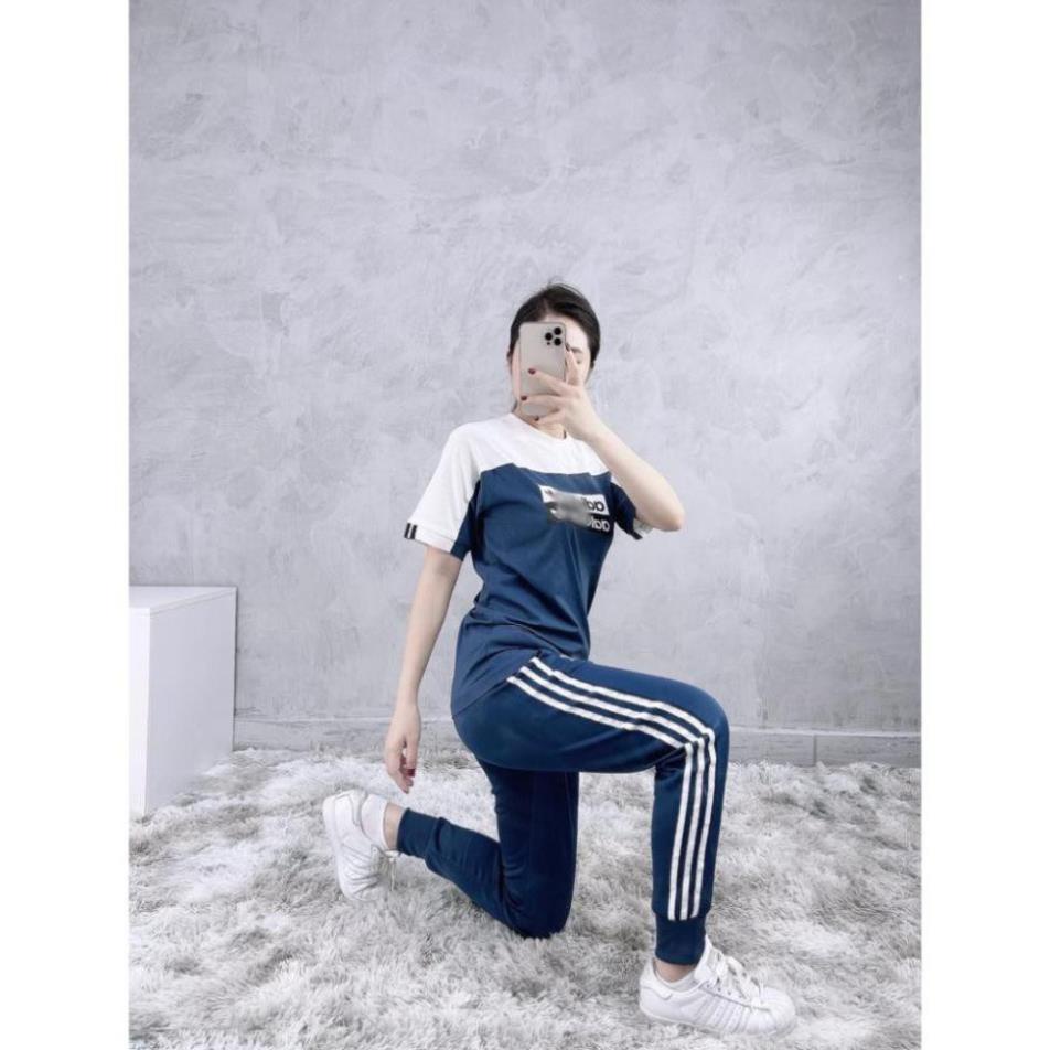 Quần Tập Gym Nam Nữ [Jogger] SST Navy Ống Bo [ĐỒ TẬP GYM]