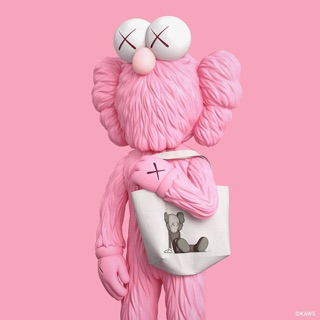 💸💸Túi TOTE KAWS 💸💸