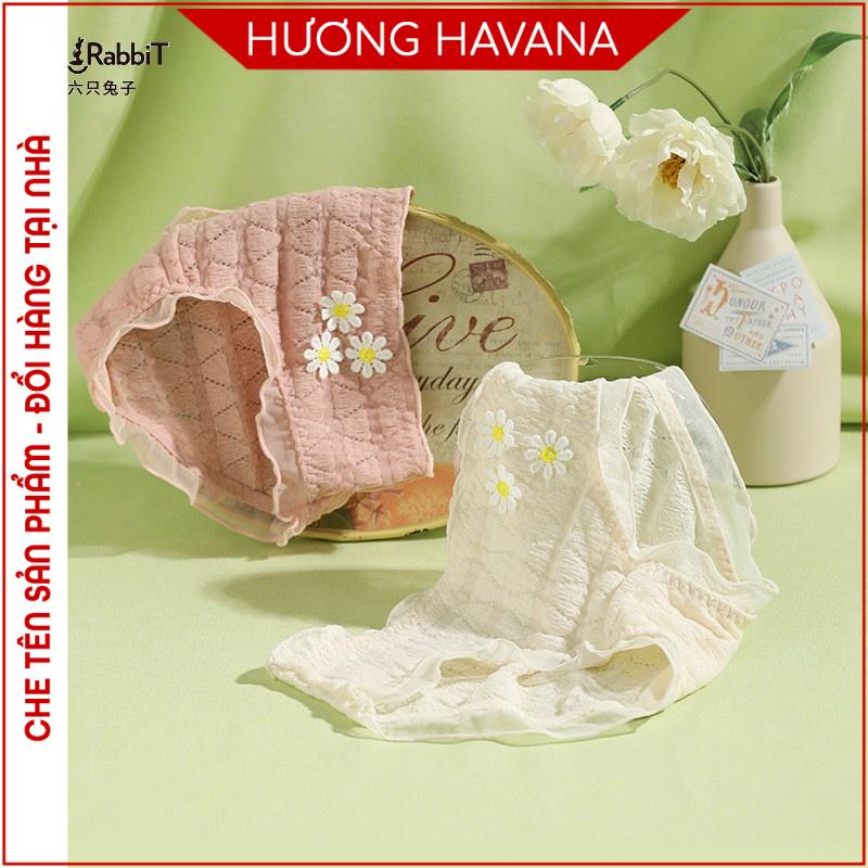 Quần lót nữ ren nhám siêu co giãn đính hoa cúc dễ thương Havana FLQ158
