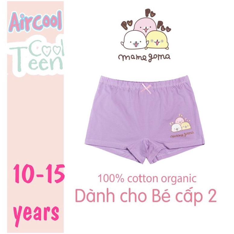 Sét 3 chip đùi bg Air cool dành cho bạn lớn