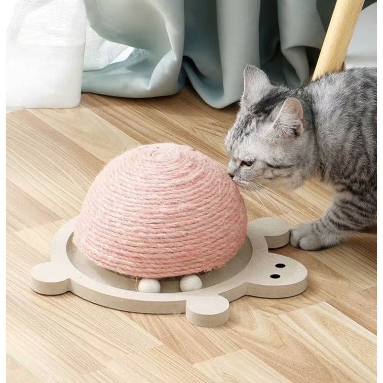 Cào móng hình con rùa cho mèo🐢