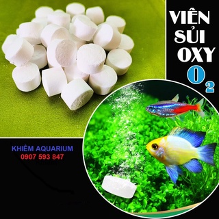 Viên oxy cho bể cá - cung cấp oxy cho cá cảnh 1kg