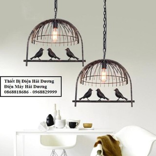 Đèn thả trần lồng chim đen TN215
