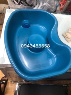 Máng gội đầu