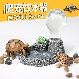 Hộp đựng thức ăn / nước uống cho rùa nuôi