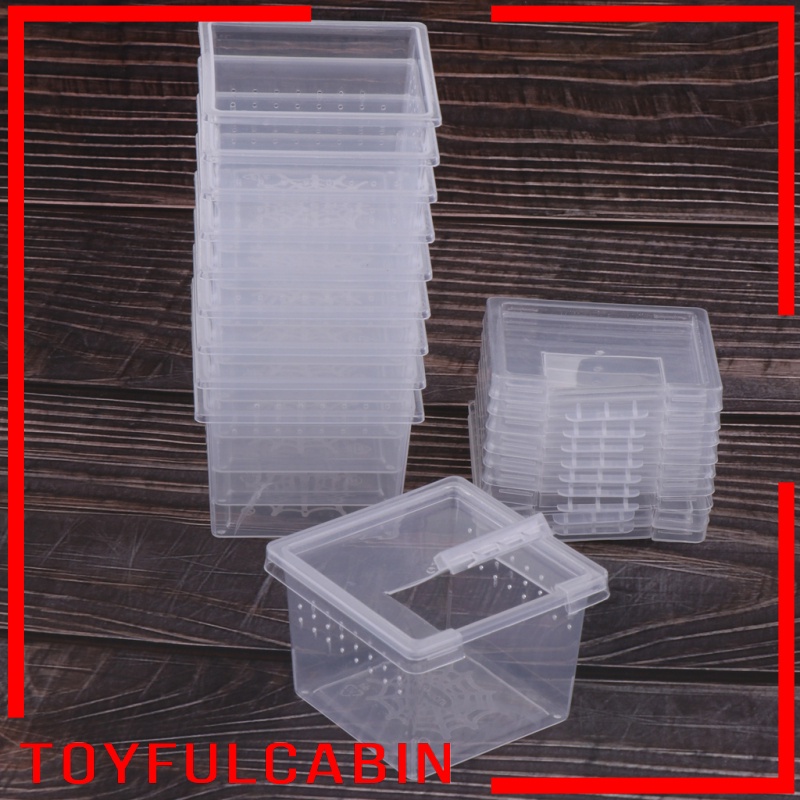 Set 10 Hộp Đựng Thức Ăn Bằng Acrylic Cho Bò Sát / Thằn Lằn / Bò Sát