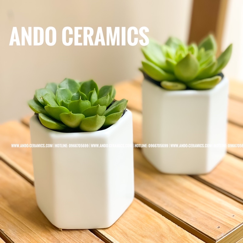 CHẬU CÂY MINI BẰNG SỨ TRẮNG MEN MÁT HÀNG BÁT TRÀNG DECOR XINH XẮN
