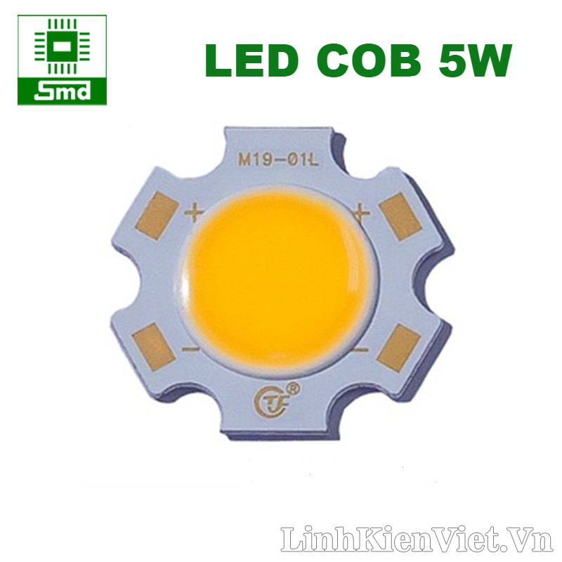 Led COB 20mm Trắng