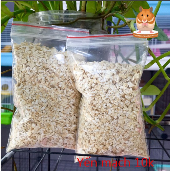 Yến mạch cho Hamster